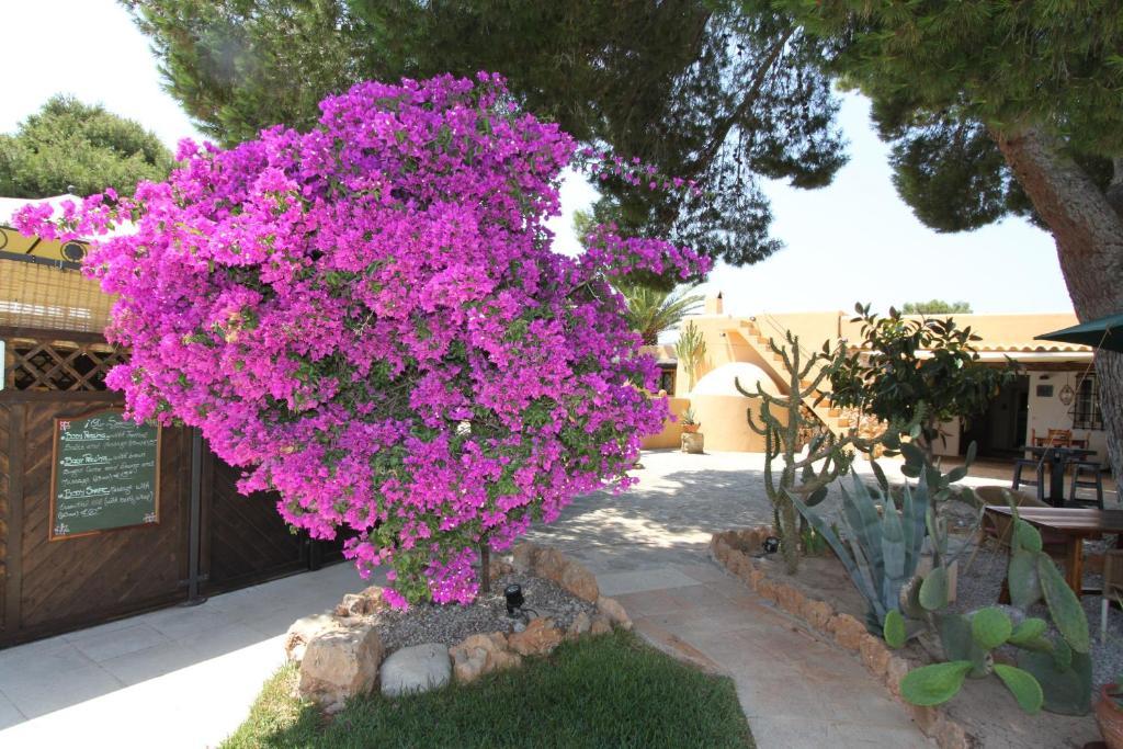 Finca Can Toni Sant Jordi de ses Salines Экстерьер фото